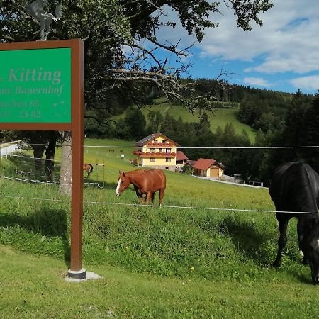 Vila Urlaub Am Bauernhof Familie Kitting Vorau Exteriér fotografie