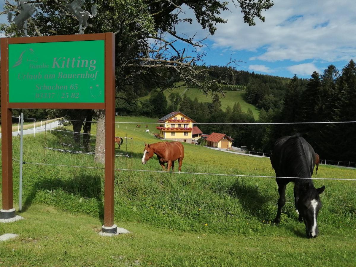 Vila Urlaub Am Bauernhof Familie Kitting Vorau Exteriér fotografie