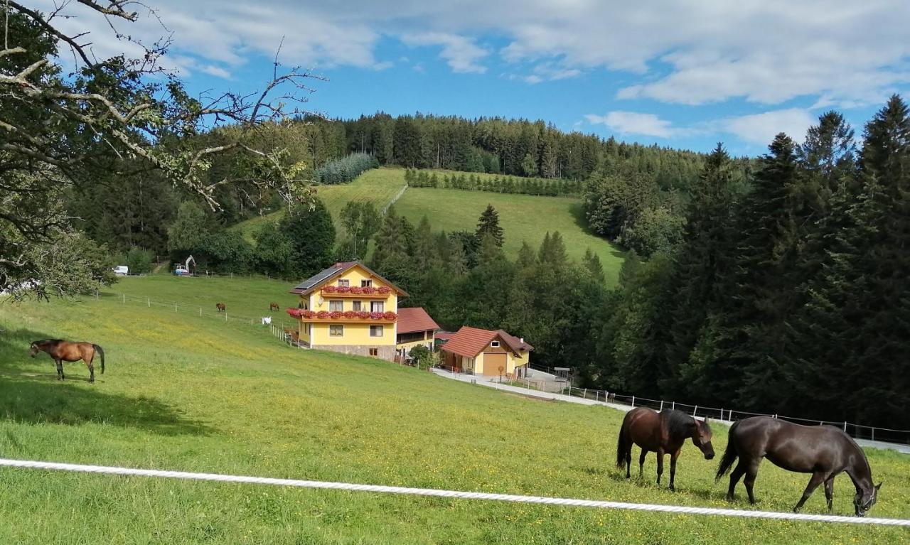 Vila Urlaub Am Bauernhof Familie Kitting Vorau Exteriér fotografie