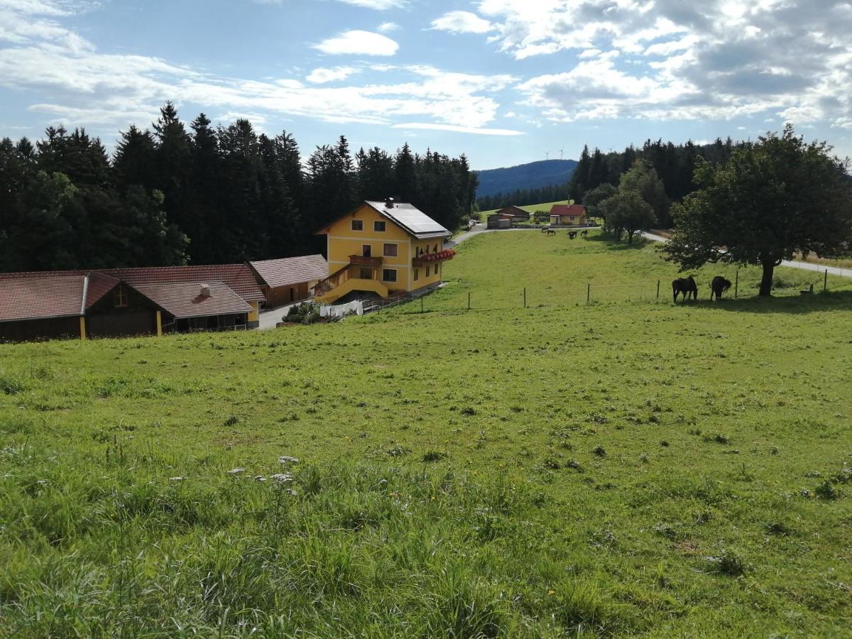Vila Urlaub Am Bauernhof Familie Kitting Vorau Exteriér fotografie