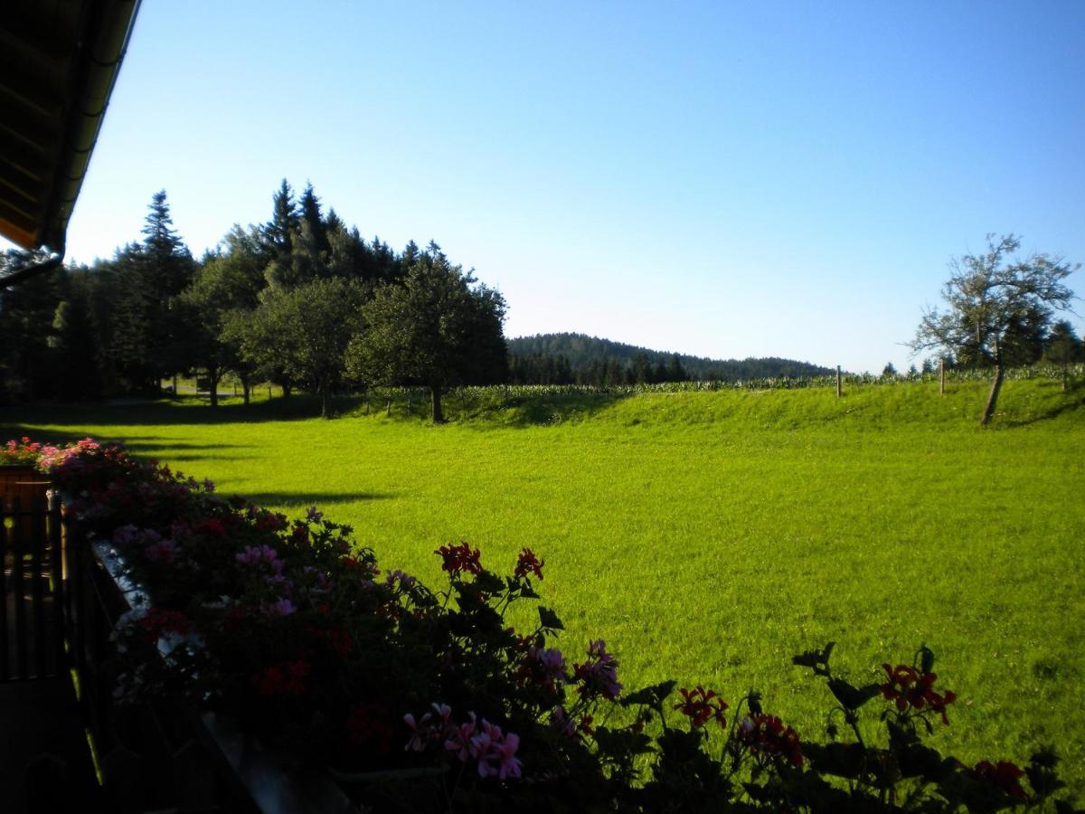 Vila Urlaub Am Bauernhof Familie Kitting Vorau Exteriér fotografie