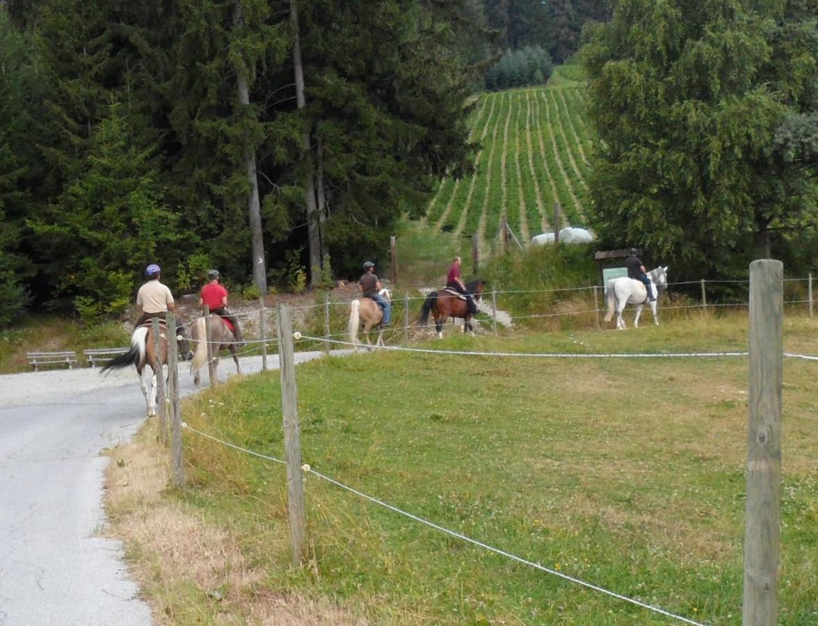 Vila Urlaub Am Bauernhof Familie Kitting Vorau Exteriér fotografie